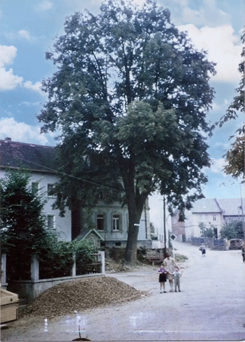 Before image